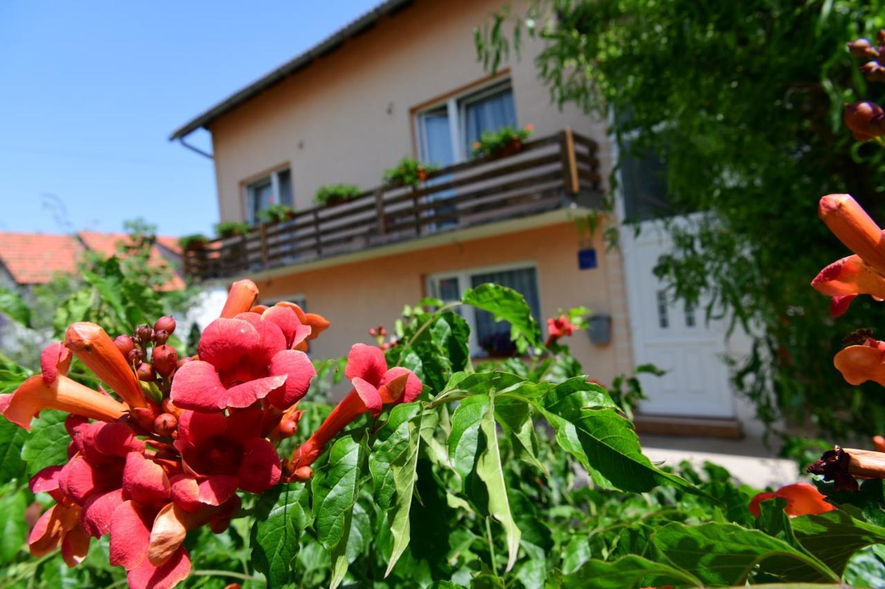 Apartman Dorijan Rakovica Exterior photo
