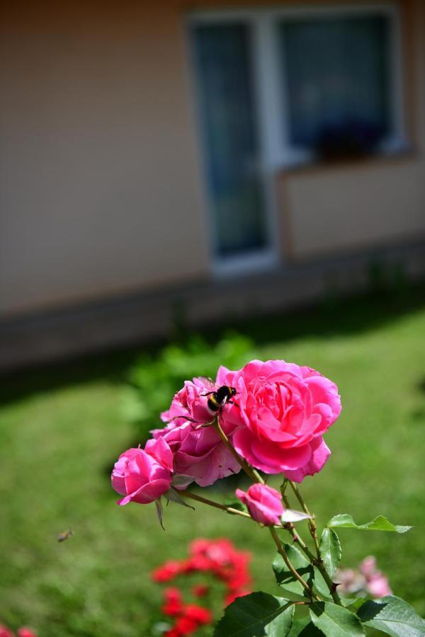Apartman Dorijan Rakovica Exterior photo